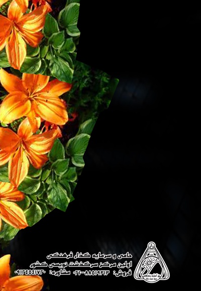پاتیناژ زیبایی چهره و تناسب اندام
